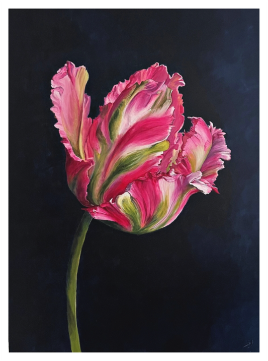 Art Print Tulp 2